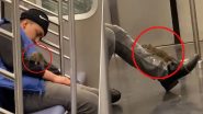 Rat Climbs on a Passenger in Metro: चलती मेट्रो में यात्री के ऊपर चढ़ा चूहा, हैरान कर देने वाला वीडियो वायरल